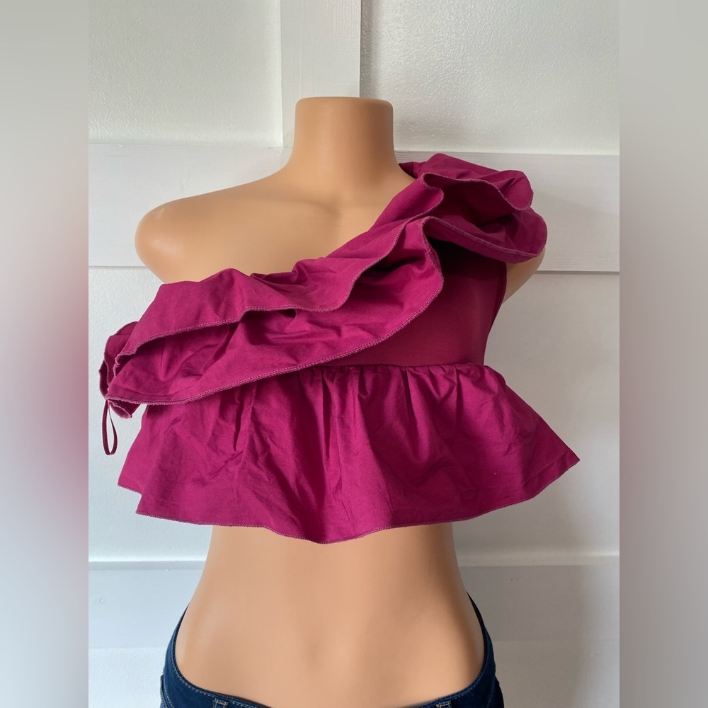 Zara Off the Shoulder Crop